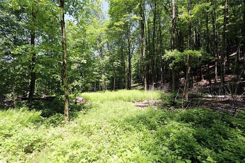 0 Hammer Road, Fremont, NY, 12736 | Card Image