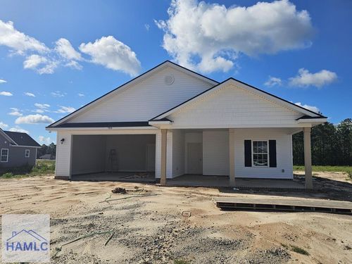 199 Freshwater Lane, Ludowici, GA, 31316 | Card Image
