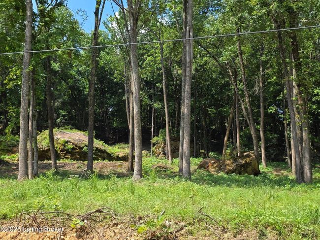 2 Cave Creek Rd, Home with 0 bedrooms, 0 bathrooms and null parking in Falls Of Rough KY | Image 6