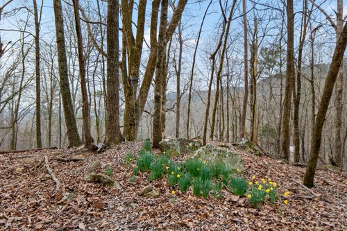 Lot 8 Raulstontown Rd, South Pittsburg, TN, 37380 | Card Image