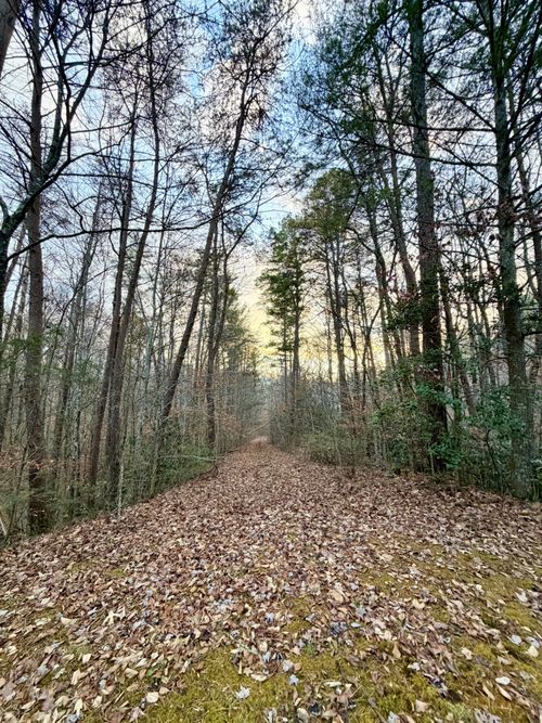 1 Wildwood Way, Sevierville, TN, 37876 | Card Image