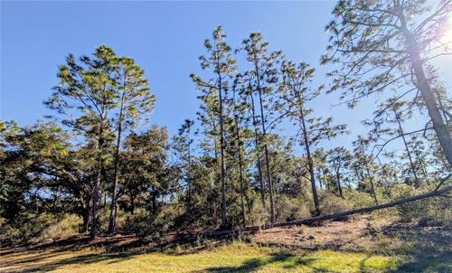 609 Indian Lake Dr, Indian Lake Estates, FL, 33855 | Card Image