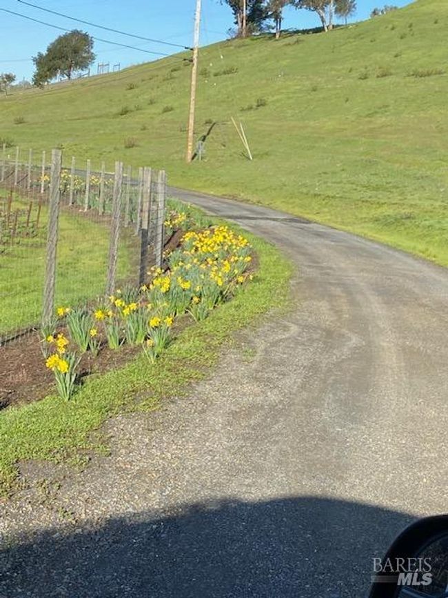 23655 Vineyard Rd, Home with 0 bedrooms, 0 bathrooms and null parking in Geyserville CA | Image 12