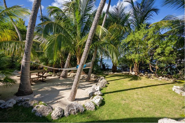 Tropical Back Yard | Image 43
