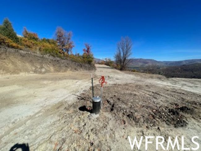 View of yard | Image 7