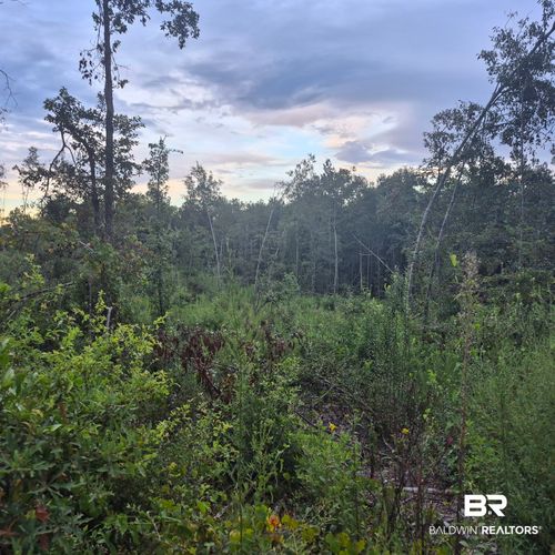 0 Antioch Church Rd, Evergreen, AL, 36401 | Card Image