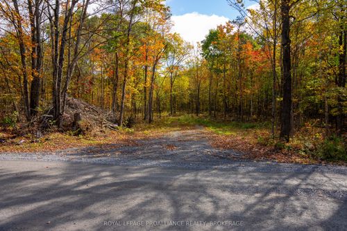 PT LTS 12 & 13 Devil Lake Road, South Frontenac, ON, K0G1X0 | Card Image