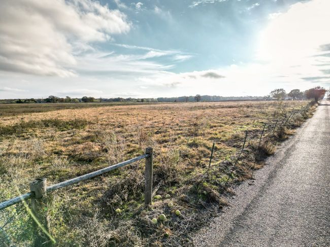 View of yard featuring a rural view | Image 17