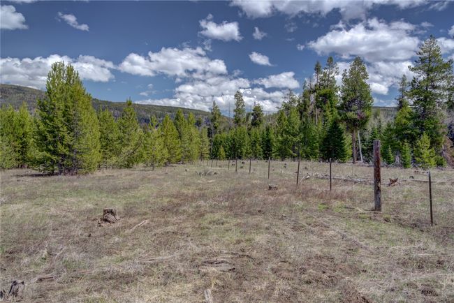View of nature with a view of trees | Image 21