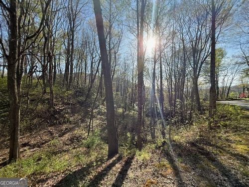 0 Thunderhead Ln, Dillard, GA, 30537 | Card Image