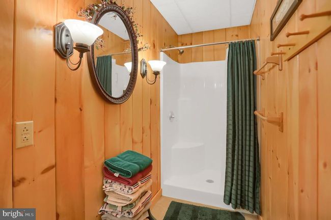 133 Paradise Rd, House other with 4 bedrooms, 5 bathrooms and null parking in SPRING MILLS PA | Image 76