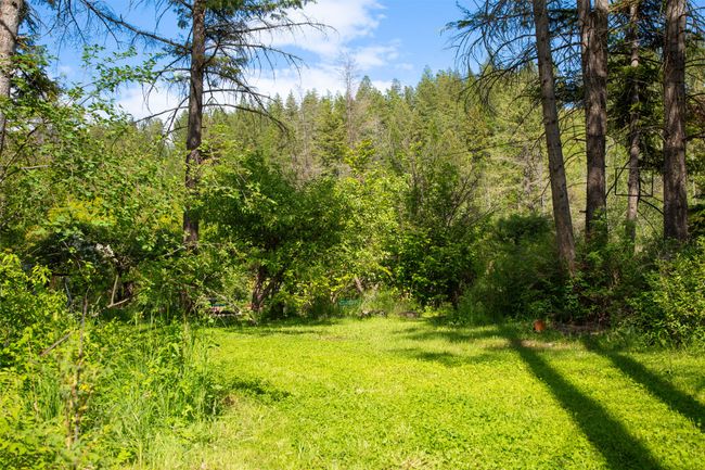View of woods | Image 62