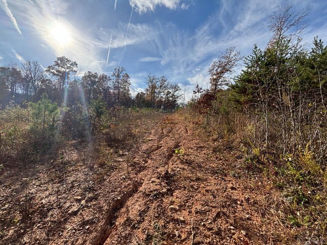 0 Colemans Mill Rd, Home with 0 bedrooms, 0 bathrooms and null parking in GLADSTONE VA | Image 5
