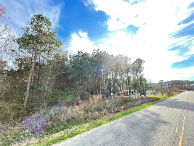 00 New Bridge Rd, Home with 0 bedrooms, 0 bathrooms and null parking in Mc Coll SC | Image 12