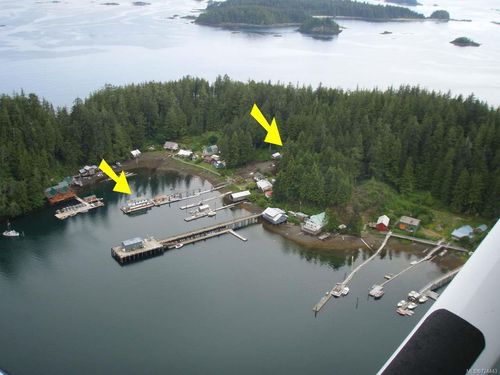 {{alt}} | Card Image