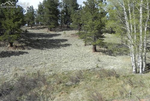 1699 Monarch Dr, Cripple Creek, CO, 80813 | Card Image