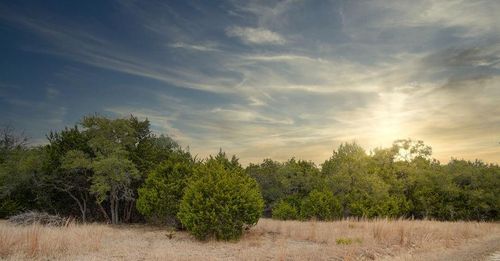 1055 Cielo Springs Dr, Blanco, TX, 78606-5628 | Card Image