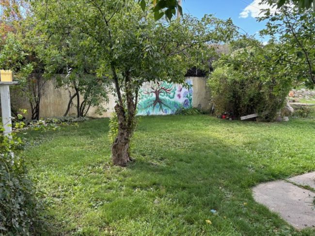 View of yard | Image 8