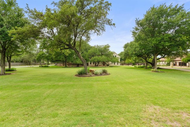 View of yard | Image 11