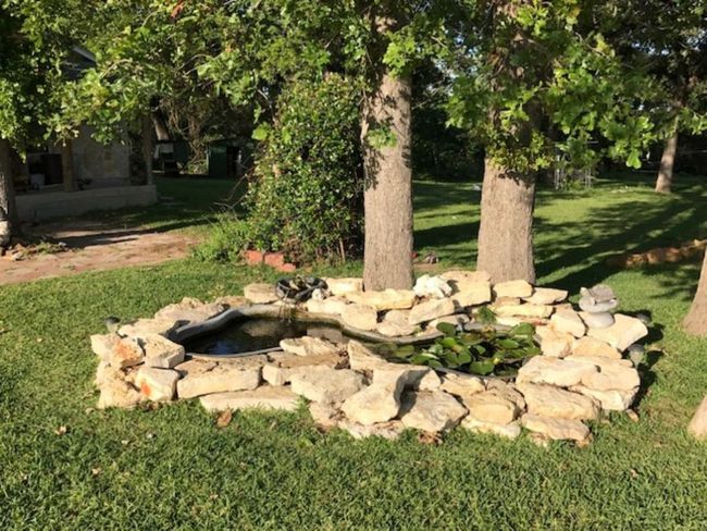 View of yard | Image 18
