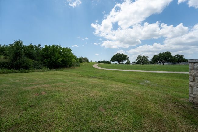 View of green lawn | Image 35