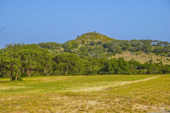1401 Cedar Mesa Rd, Home with 3 bedrooms, 2 bathrooms and null parking in Tarpley TX | Image 61
