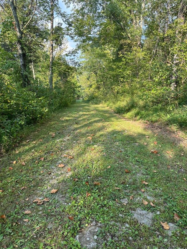 3896 Long Run Rd, Home with 3 bedrooms, 3 bathrooms and null parking in Vevay IN | Image 68