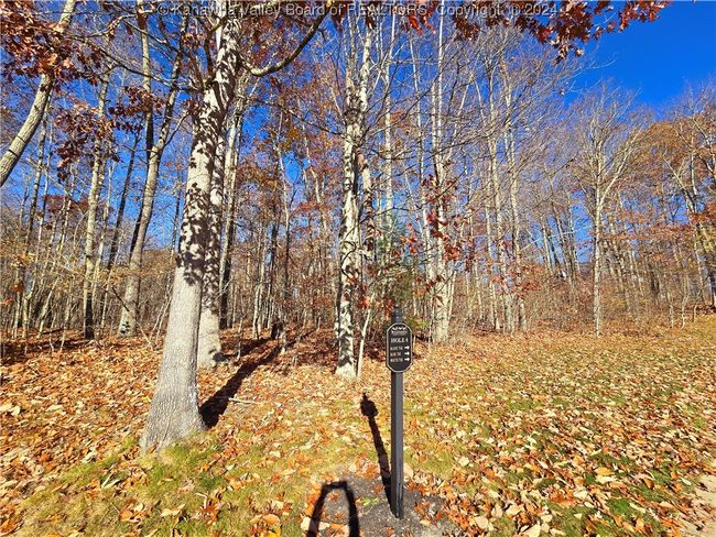 101 Chantry Ln, Home with 0 bedrooms, 0 bathrooms and null parking in Daniels WV | Image 13