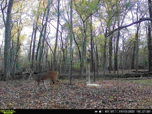 101555 S 4590 Loop, Vian, OK, 74962-3026 | Card Image
