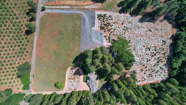 View from the sky! | Image 54