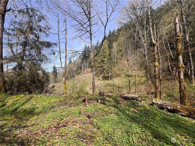 35 Cumberland Way Se, Home with 0 bedrooms, 0 bathrooms and null parking in Enumclaw WA | Image 15