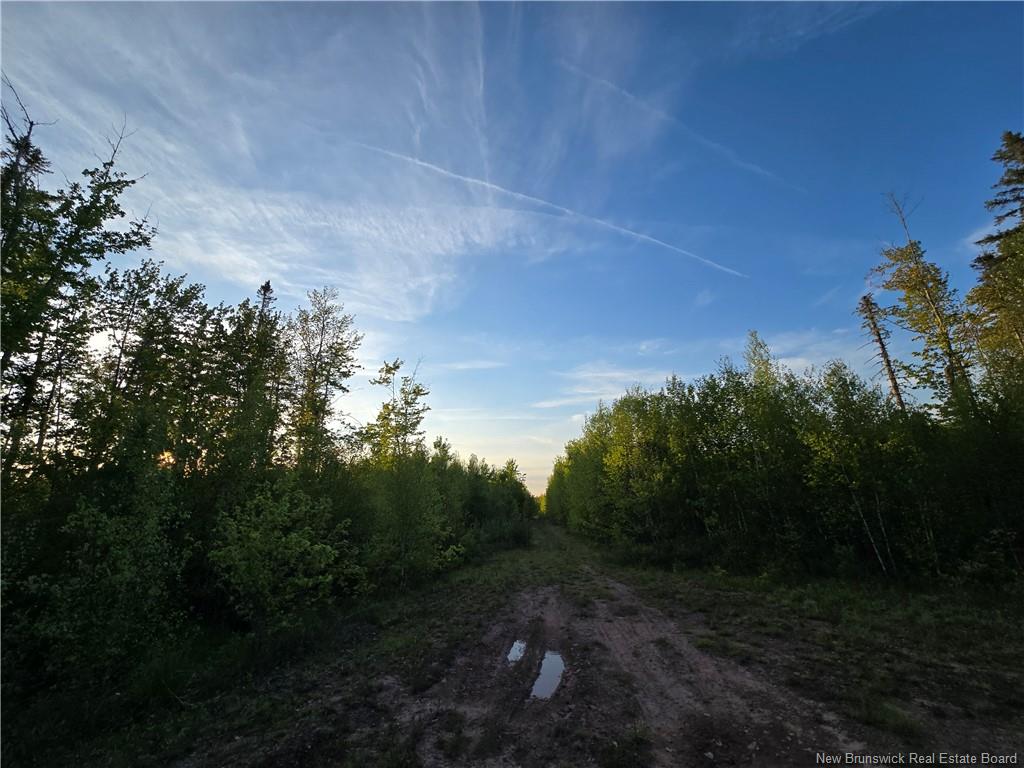Land in Head Of Millstream 4