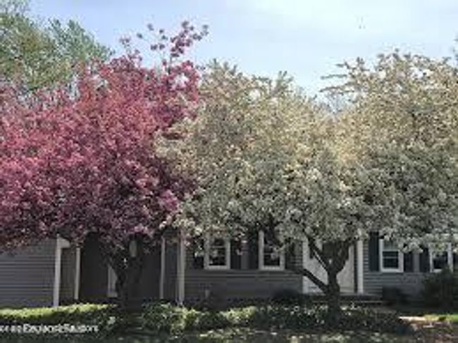 213 Ashlar Way, House other with 4 bedrooms, 3 bathrooms and null parking in Toms River NJ | Image 47