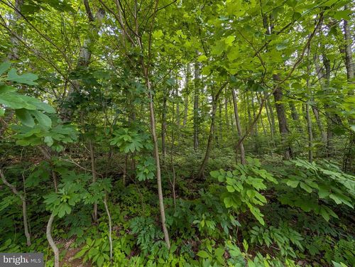 Lot 106 Bluebird Way, FRONT ROYAL, VA, 22630-5904 | Card Image