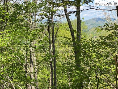 29 Grandfather Farms Rd, Banner Elk, NC, 28604-7772 | Card Image