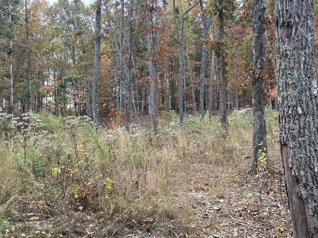 0 Mc Cord Hollow Rd, Home with 0 bedrooms, 0 bathrooms and null parking in Hohenwald TN | Image 26