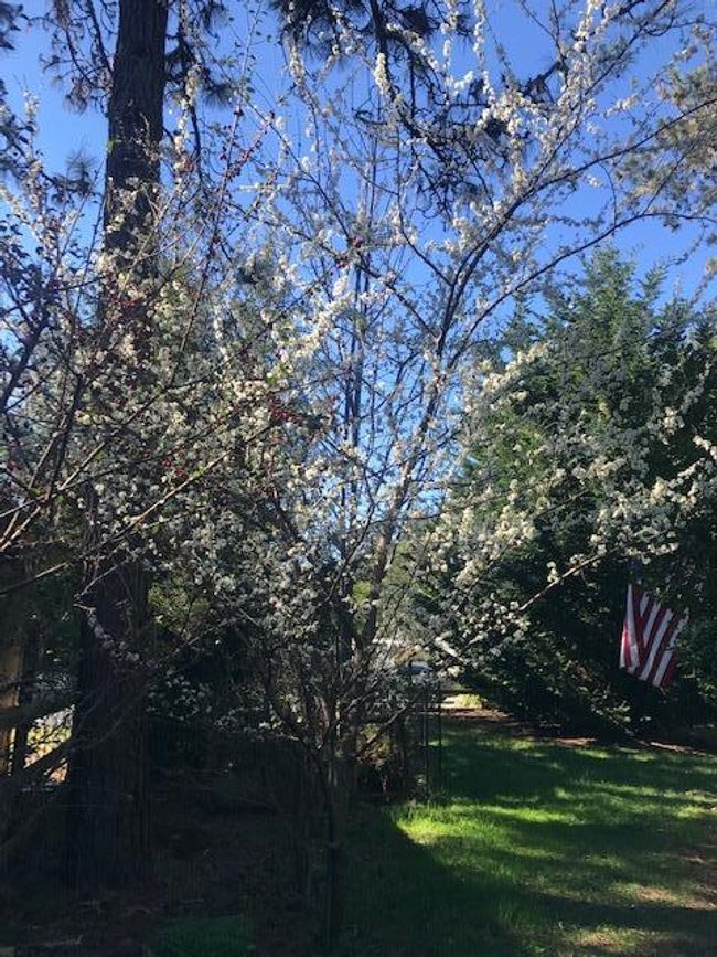 2510 Us Highway 199, Home with 2 bedrooms, 1 bathrooms and 1 parking in Crescent City CA | Image 6