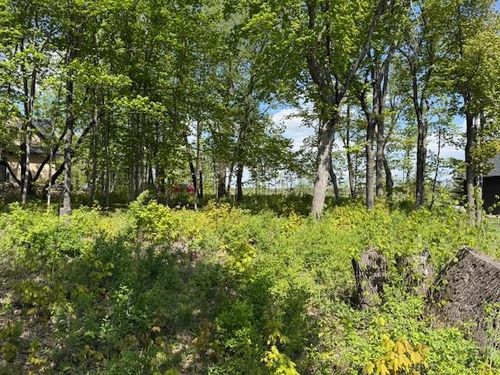 TBD Lot 13 Blk 2 Pilgrim Point Shroes, Alexandria, MN, 56308 | Card Image
