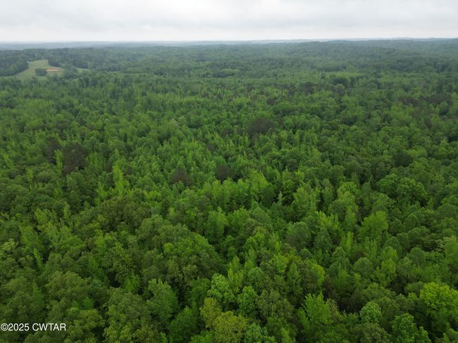 0 Buggy Branch Ln, Home with 0 bedrooms, 0 bathrooms and null parking in Cedar Grove TN | Image 4