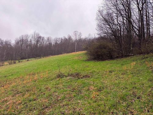 0 Bear Mountain Rd, Flemington, WV, 26347 | Card Image