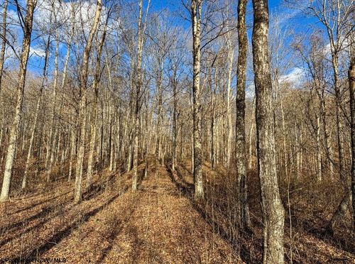 TBD Keller Hill Road, Belington, WV, 26260 | Card Image
