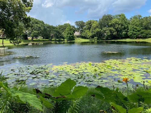 1113 Via Del Mar, WINTER PARK, FL, 32789-1362 | Card Image