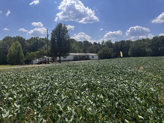 Your view from the field across from your home. | Image 33