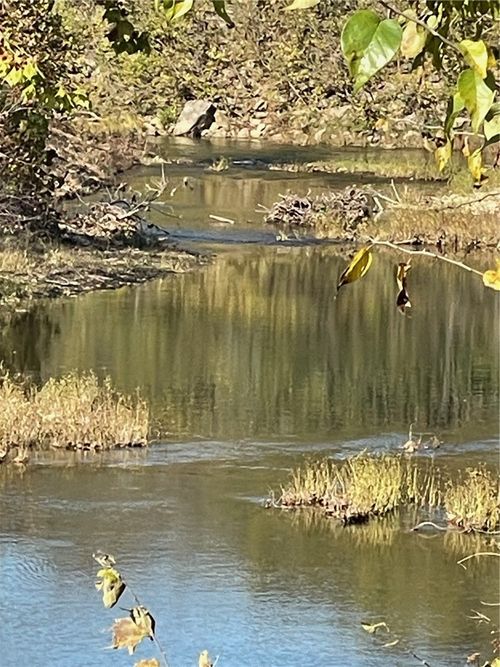 5034 Highway 103 S, Green Forest, AR, 72638-3567 | Card Image