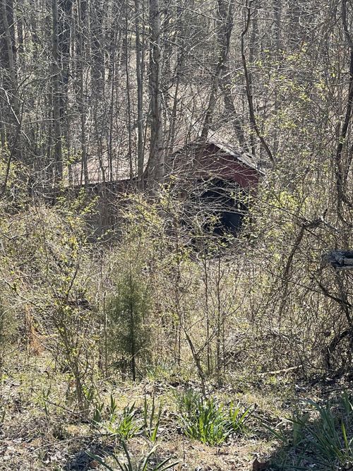 2135 Eg Nash Rd, Roundhill, KY, 42275-8011 | Card Image