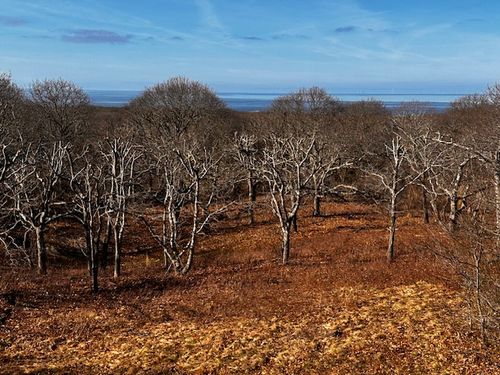 834 State Rd, Aquinnah, MA, 02535-1686 | Card Image