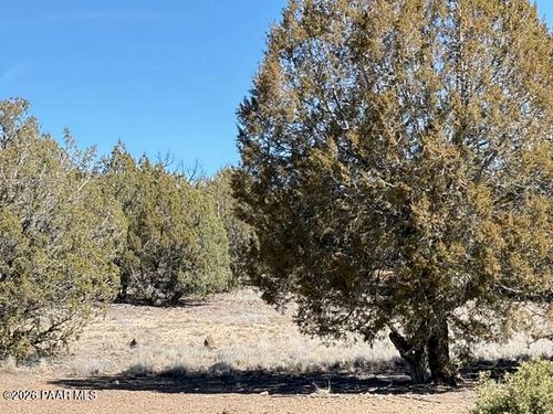 3963 W Gerry Ln, Williams, AZ, 86046 | Card Image