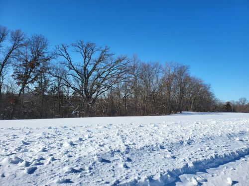 TBD Salley Ridge Ln, Cascade Twp, MN, 55906 | Card Image