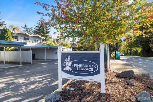 Welcome to Pinebrook | Image 27