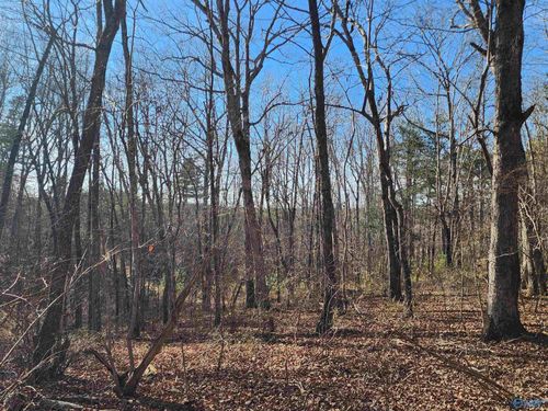 lot 35 Road 9050, Mentone, AL, 35984-5022 | Card Image